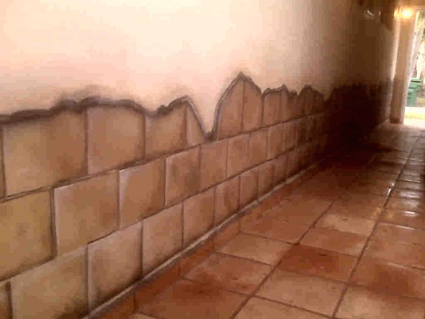 faux brick on outside entry wall