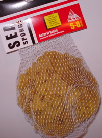 sponge