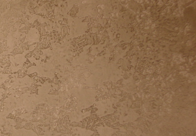 knockdown textured wall faux painted with a brown color wash faux finish